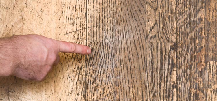 Wood Door Scratch Repair in Jacksonville